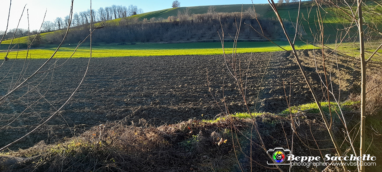 20230110_155607 - Dalla terra... il grano.jpg